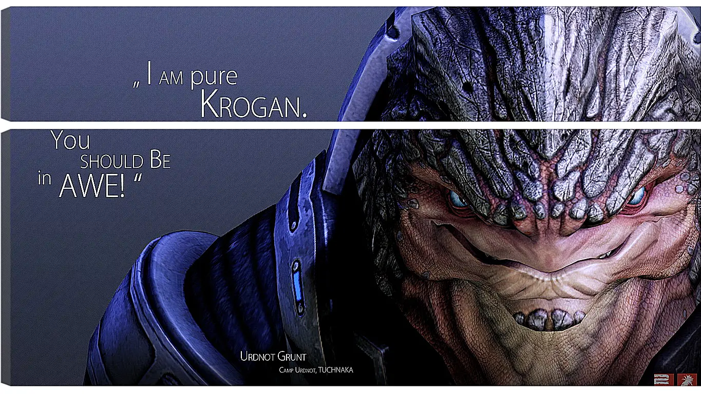 Модульная картина - mass effect, urdnot grunt, quote
