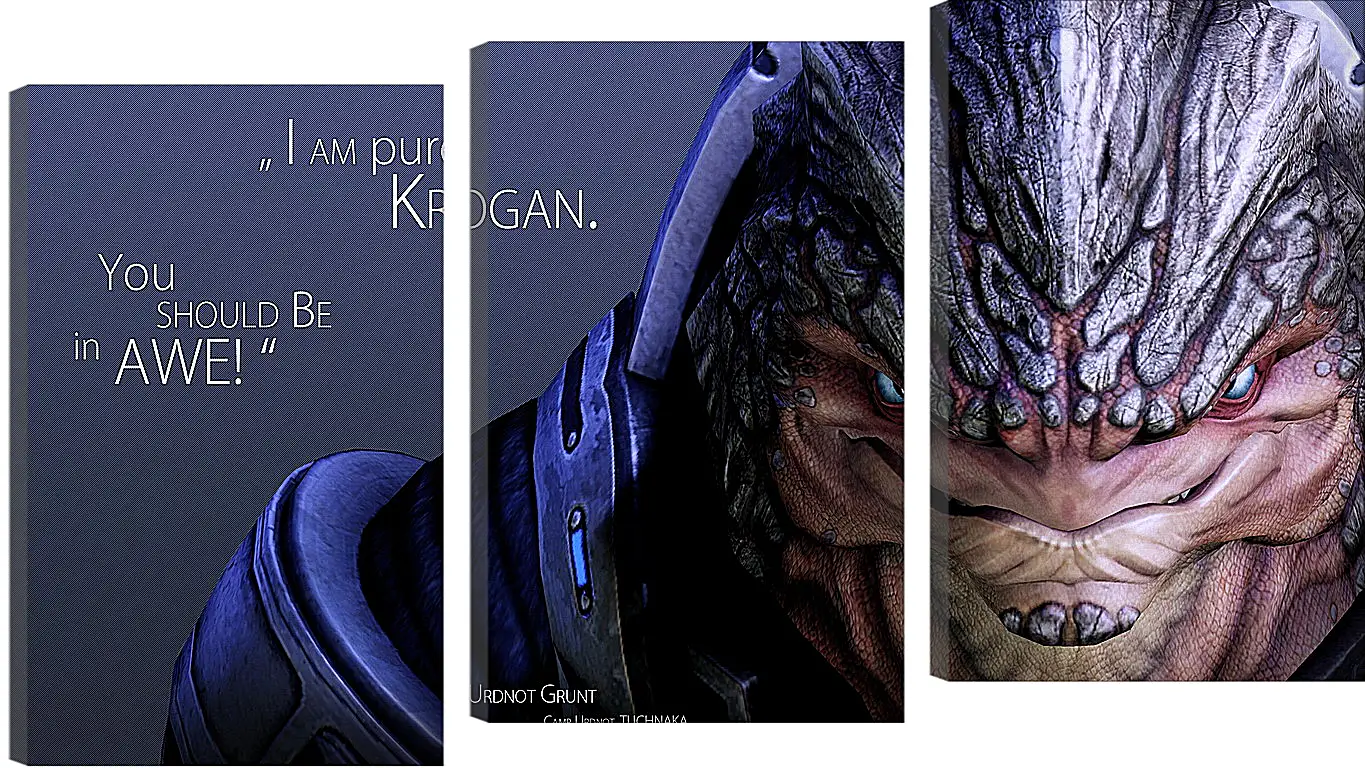 Модульная картина - mass effect, urdnot grunt, quote
