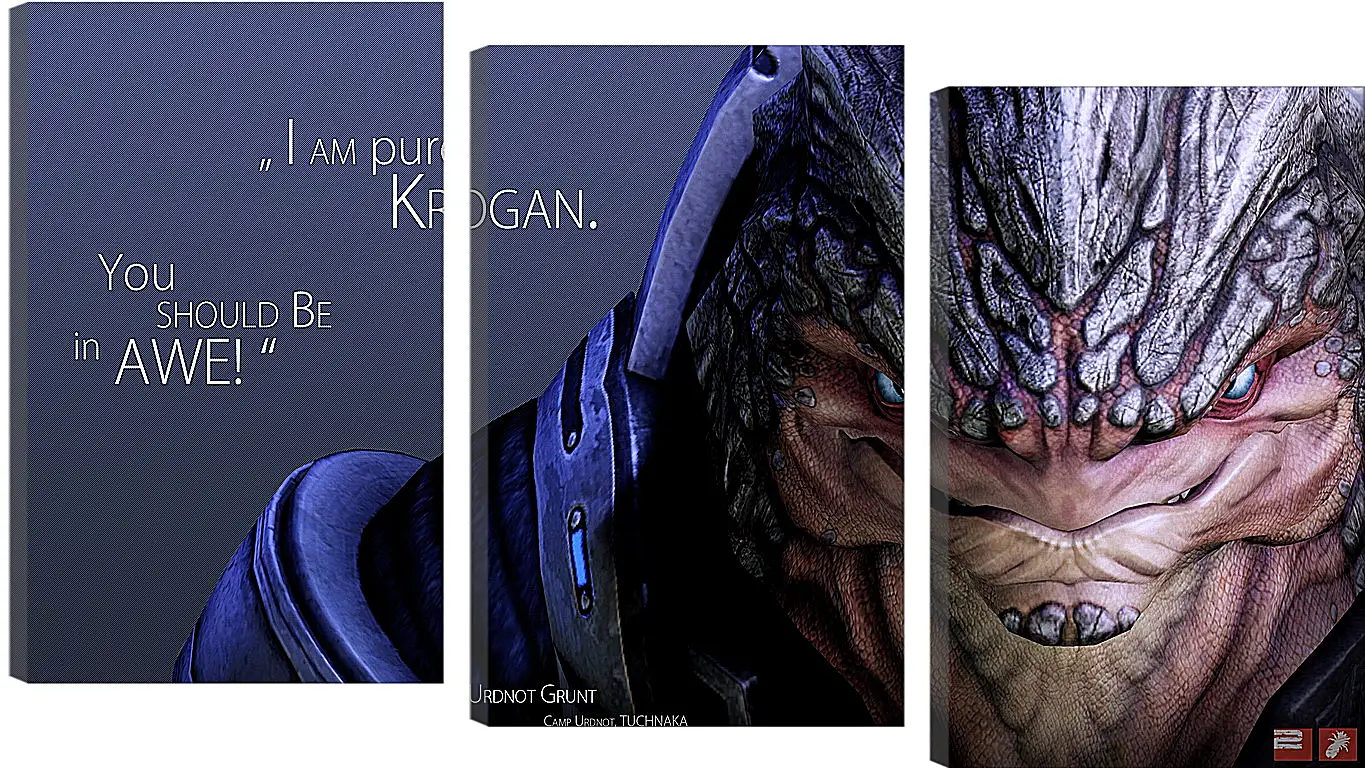 Модульная картина - mass effect, urdnot grunt, quote
