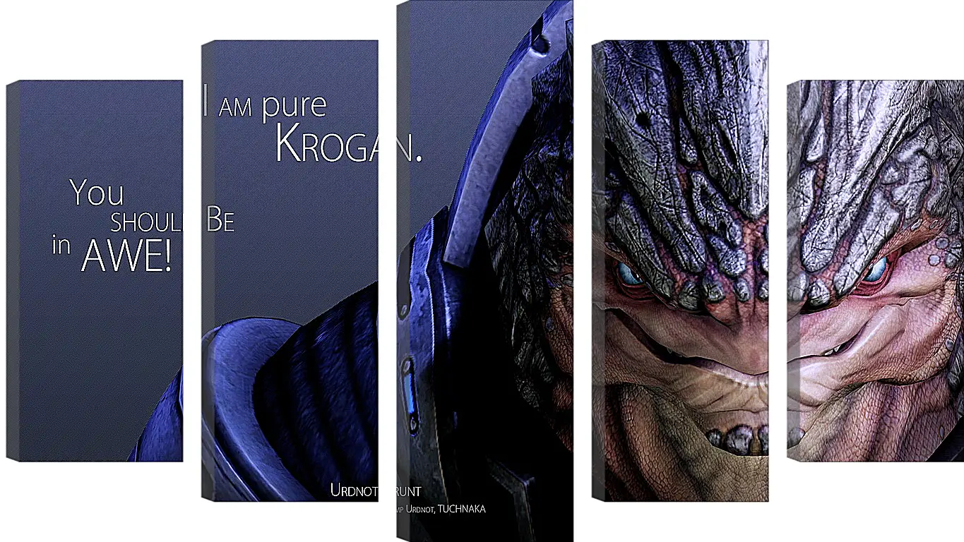 Модульная картина - mass effect, urdnot grunt, quote
