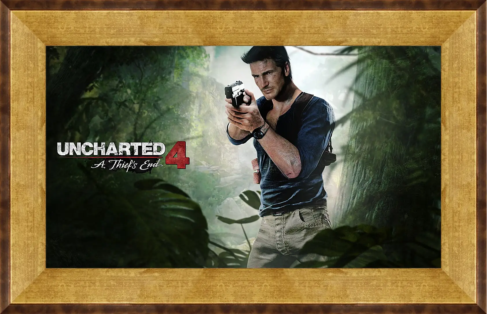 Картина в раме - naughty dog, uncharted 4