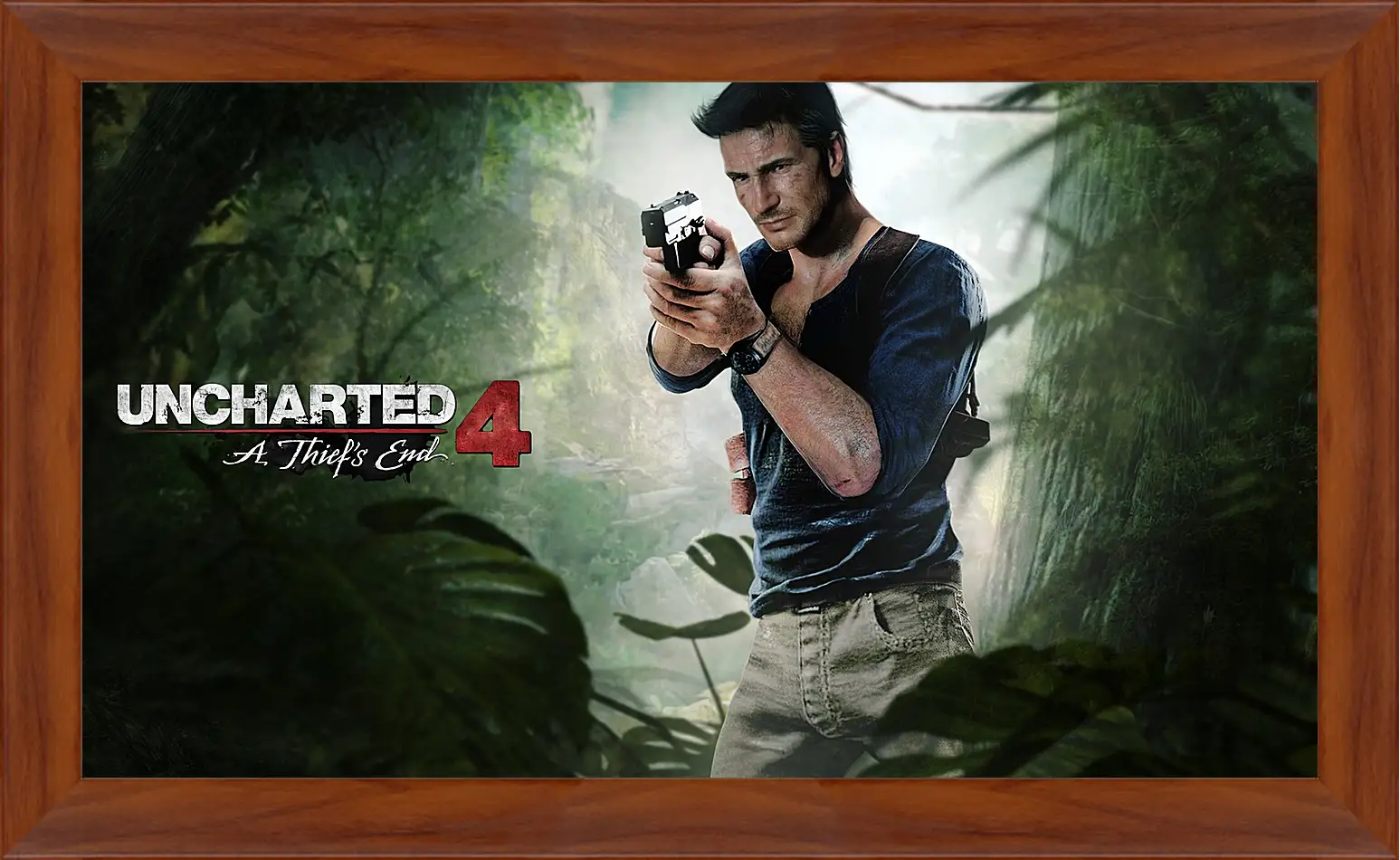 Картина в раме - naughty dog, uncharted 4