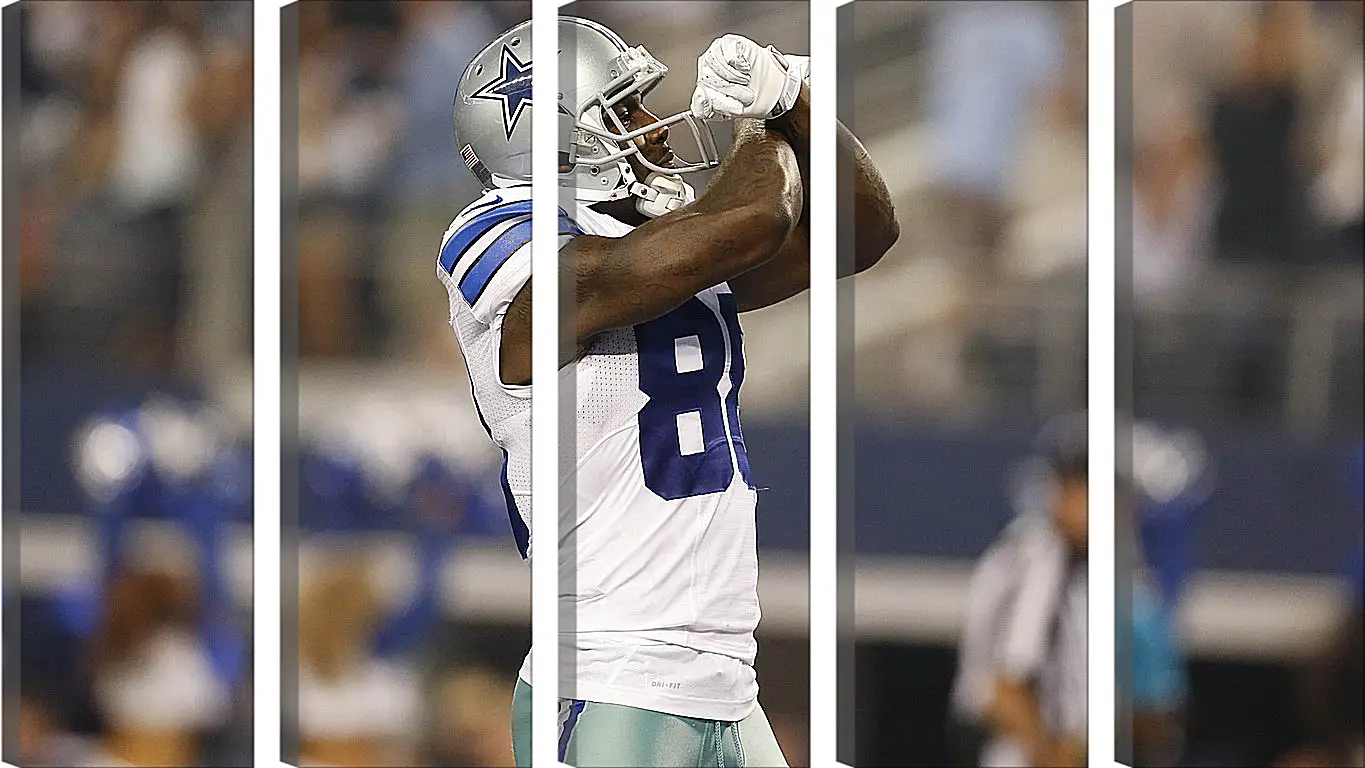 Модульная картина - dez bryant, dallas cowboys, football
