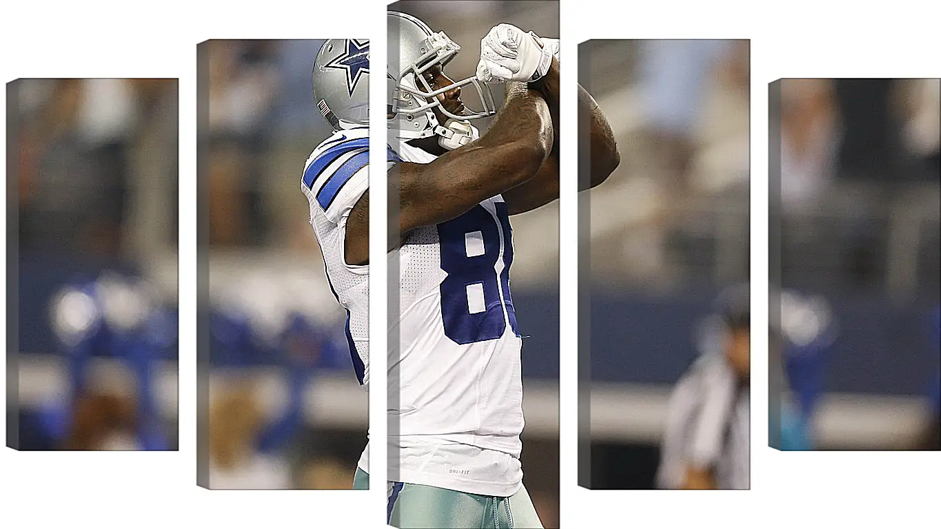 Модульная картина - dez bryant, dallas cowboys, football
