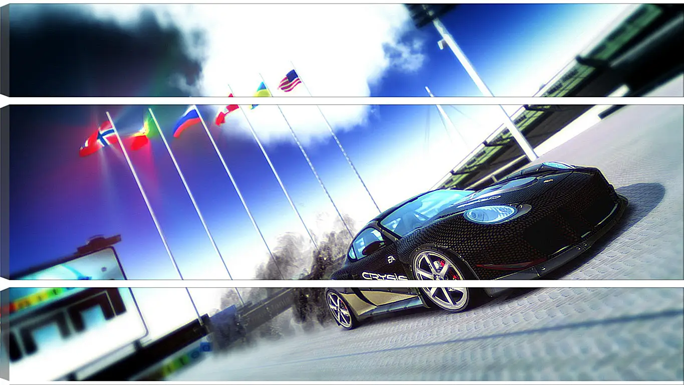 Модульная картина - trackmania, car, flags
