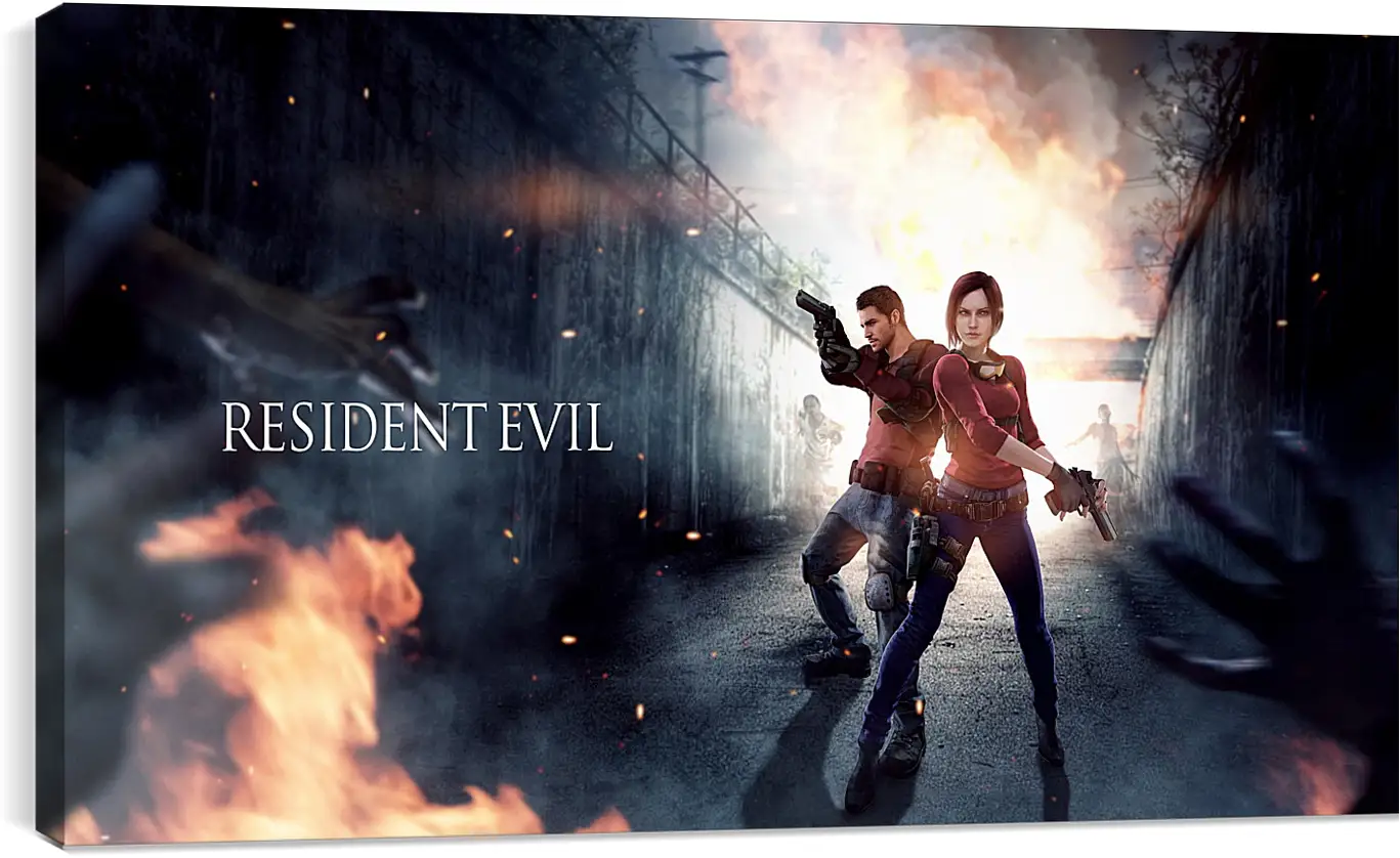 Постер и плакат - resident evil, claire redfield, chris redfield
