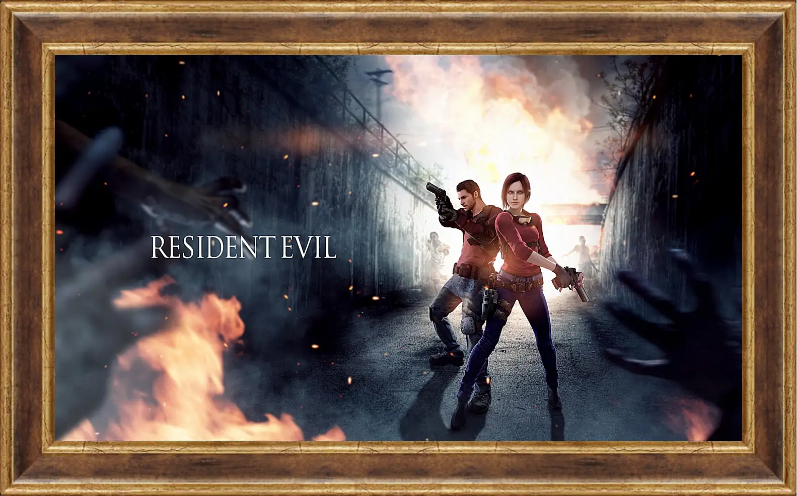 Картина в раме - resident evil, claire redfield, chris redfield
