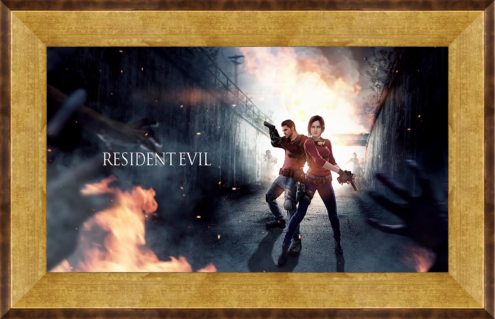 Картина в раме - resident evil, claire redfield, chris redfield
