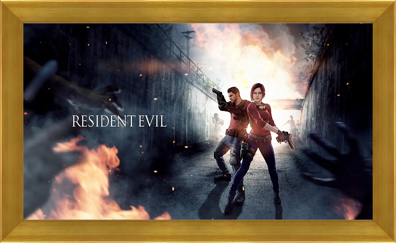 Картина в раме - resident evil, claire redfield, chris redfield
