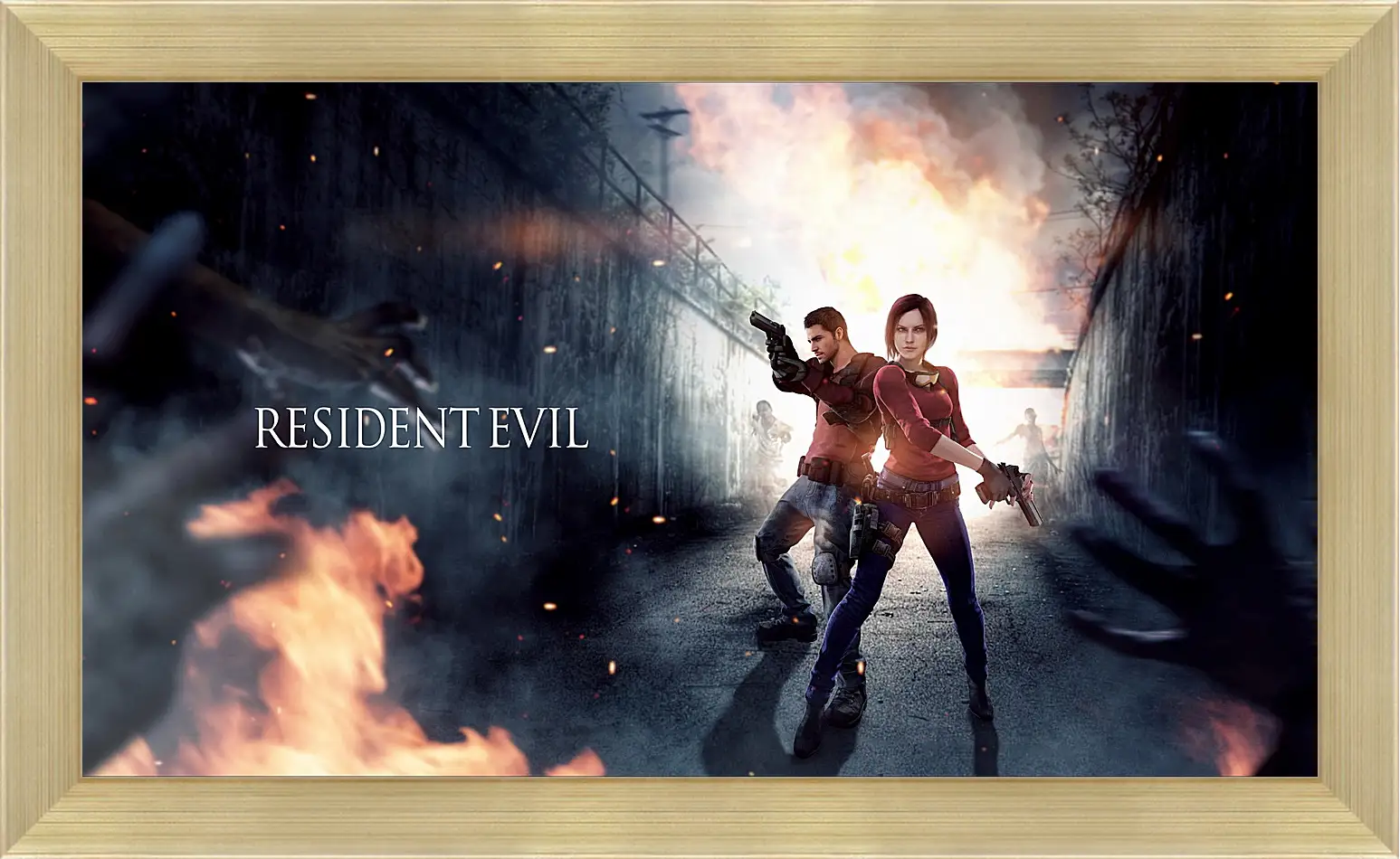 Картина в раме - resident evil, claire redfield, chris redfield
