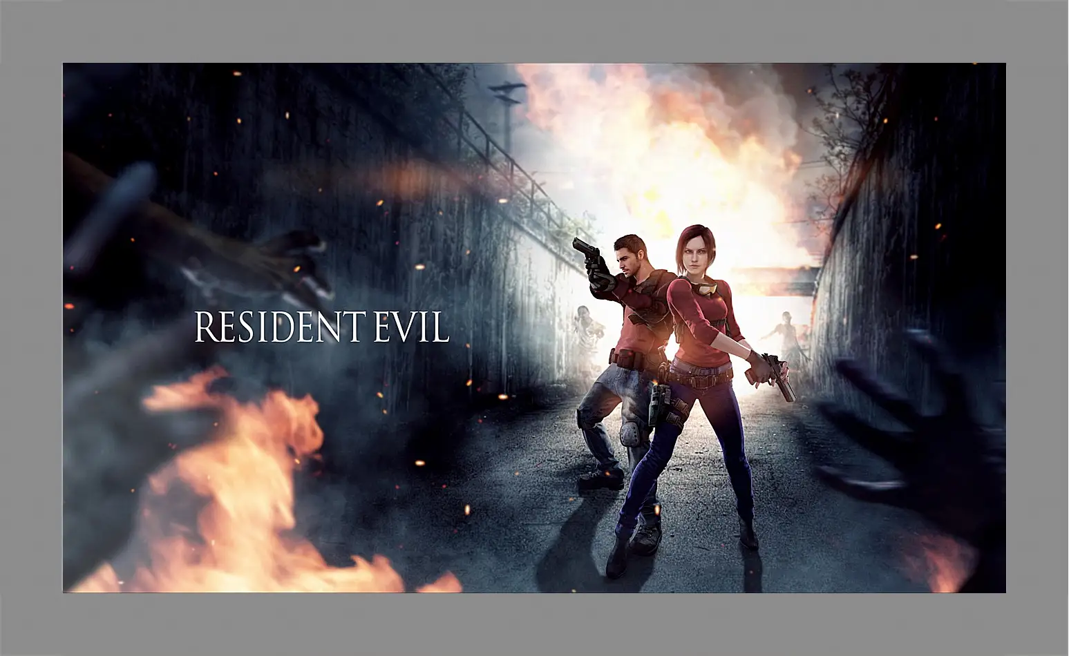 Картина в раме - resident evil, claire redfield, chris redfield
