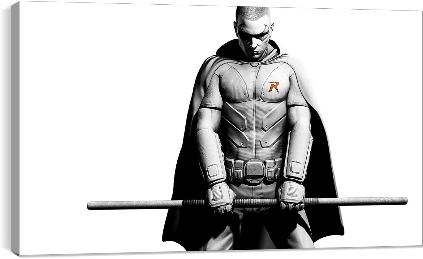 Постер и плакат - batman arkham city, robin, character