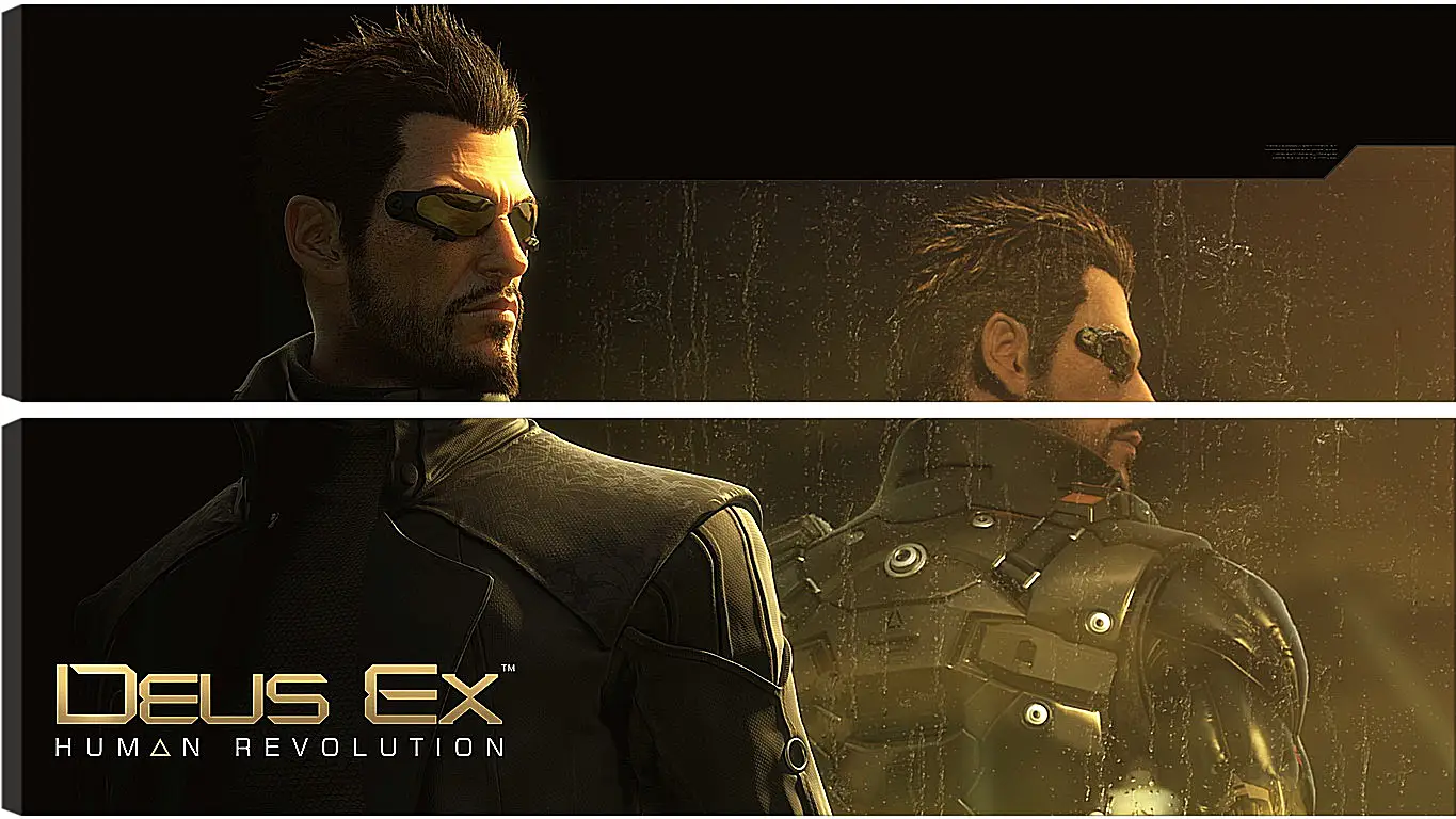 Модульная картина - deus ex human revolution, adam jensen, character
