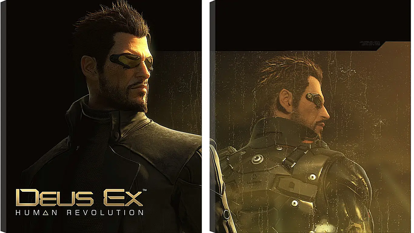 Модульная картина - deus ex human revolution, adam jensen, character
