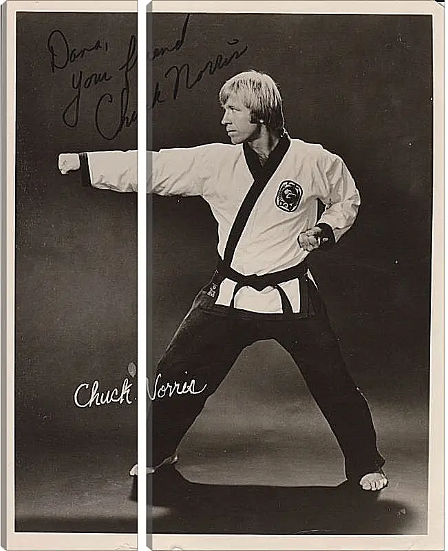 Модульная картина - Чак Норрис. Chuck Norris