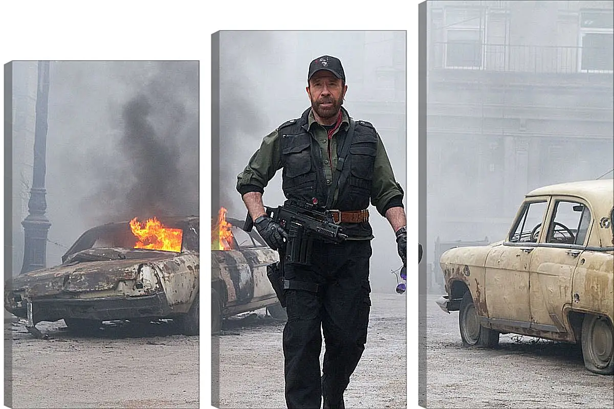 Модульная картина - Чак Норрис. Chuck Norris