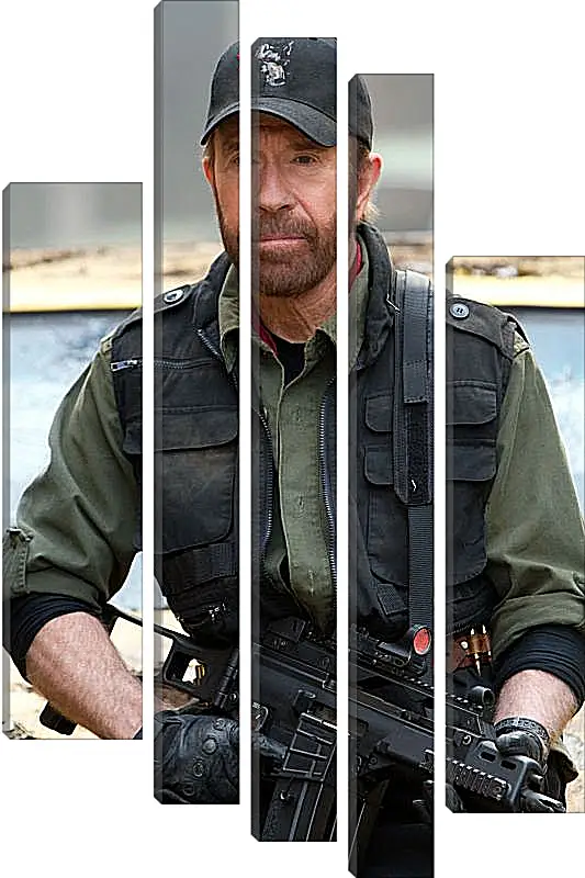Модульная картина - Чак Норрис. Chuck Norris