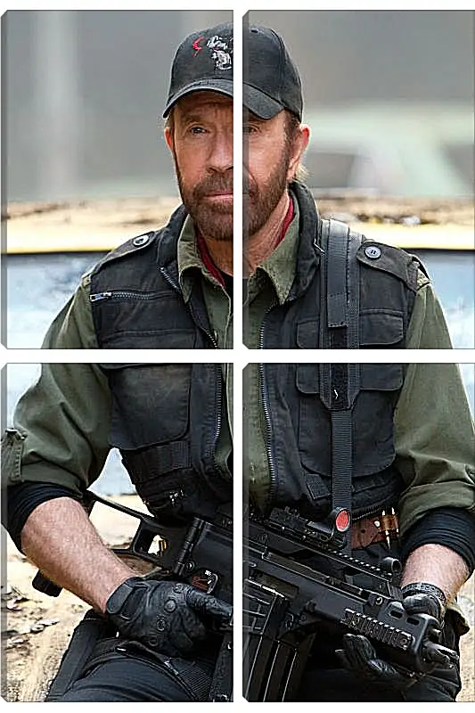 Модульная картина - Чак Норрис. Chuck Norris