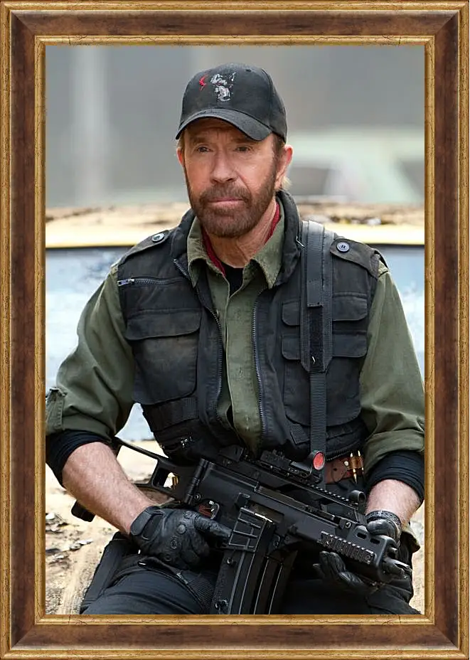 Картина в раме - Чак Норрис. Chuck Norris