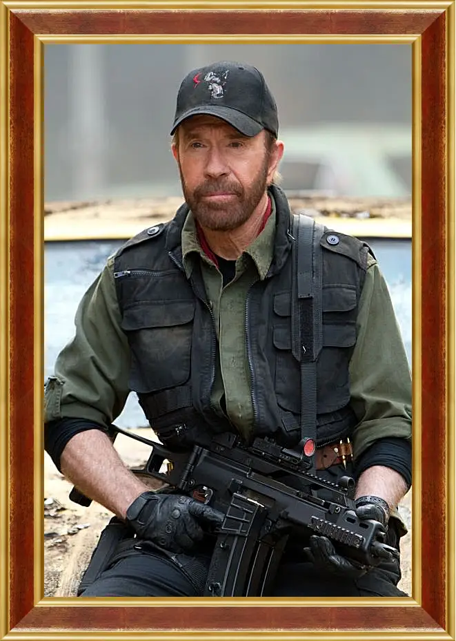 Картина в раме - Чак Норрис. Chuck Norris