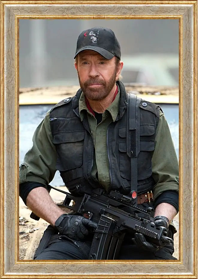 Картина в раме - Чак Норрис. Chuck Norris