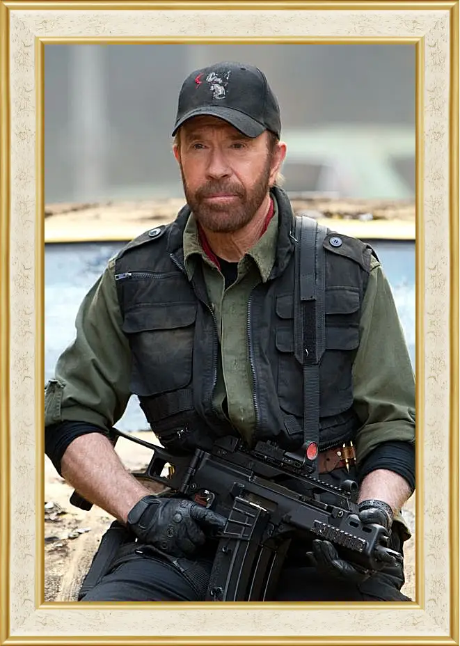 Картина в раме - Чак Норрис. Chuck Norris