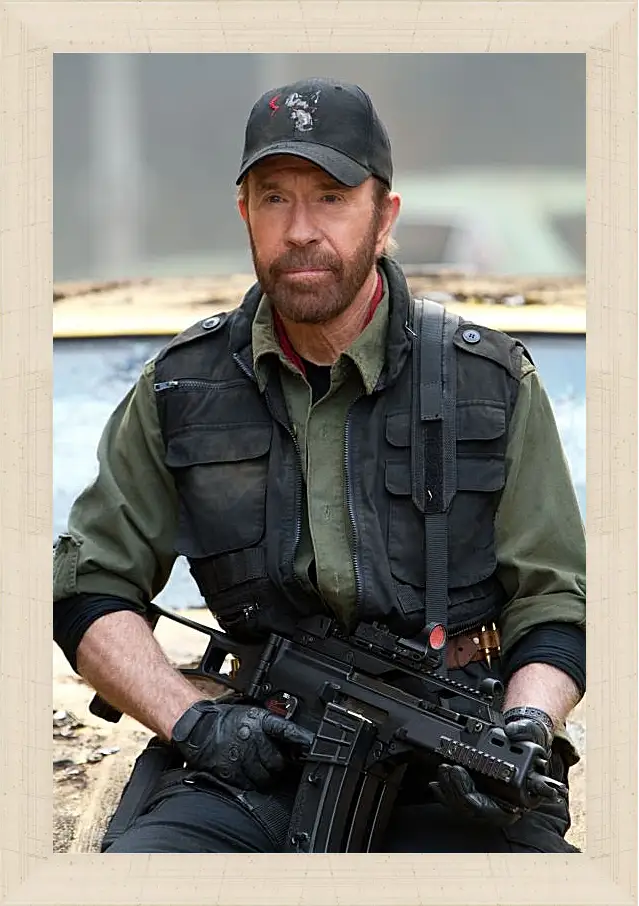 Картина в раме - Чак Норрис. Chuck Norris