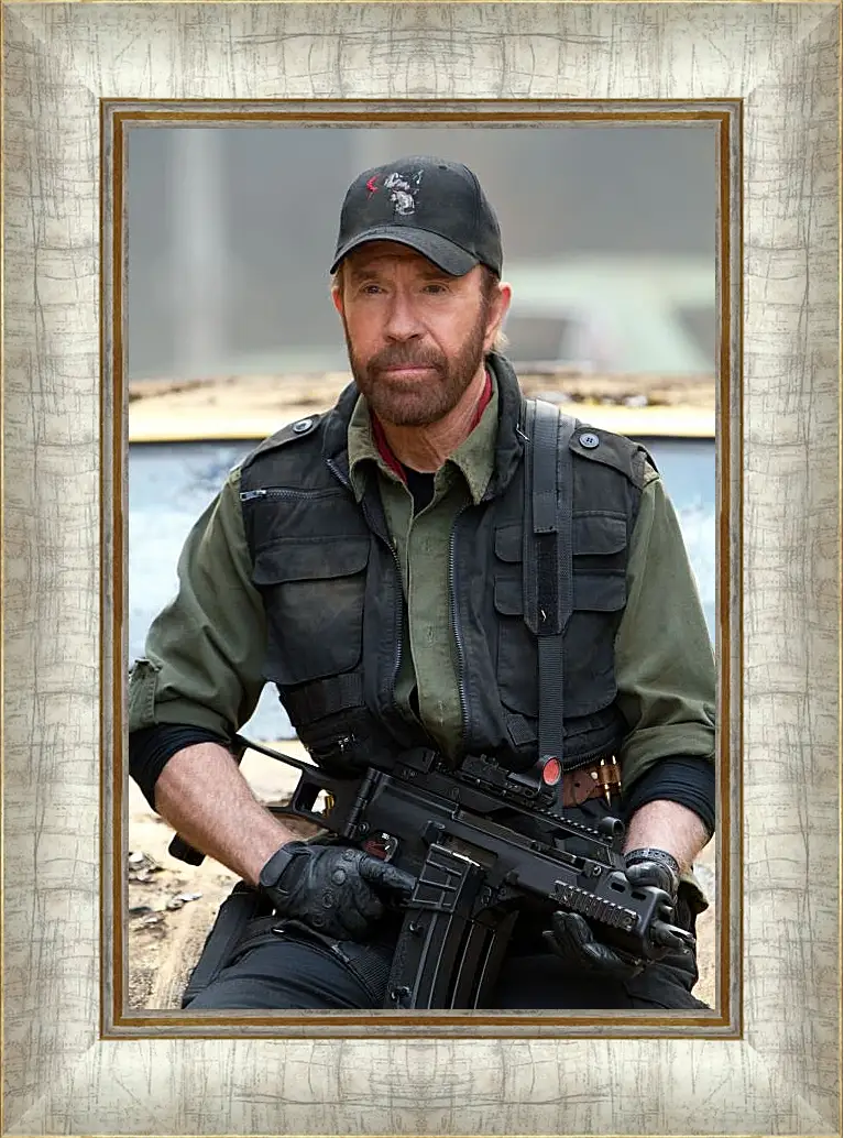 Картина в раме - Чак Норрис. Chuck Norris