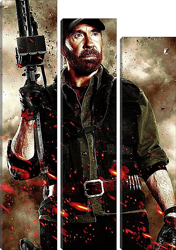 Модульная картина - Чак Норрис. Chuck Norris