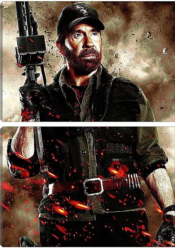 Модульная картина - Чак Норрис. Chuck Norris
