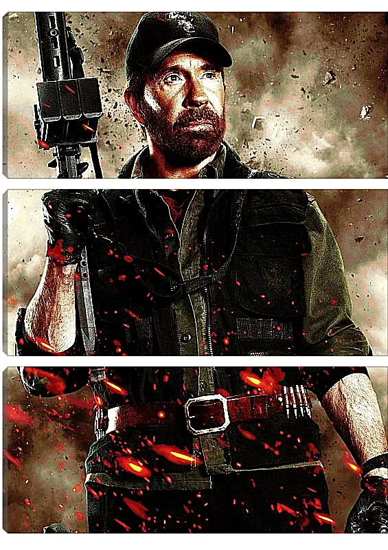 Модульная картина - Чак Норрис. Chuck Norris