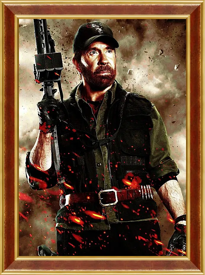 Картина в раме - Чак Норрис. Chuck Norris