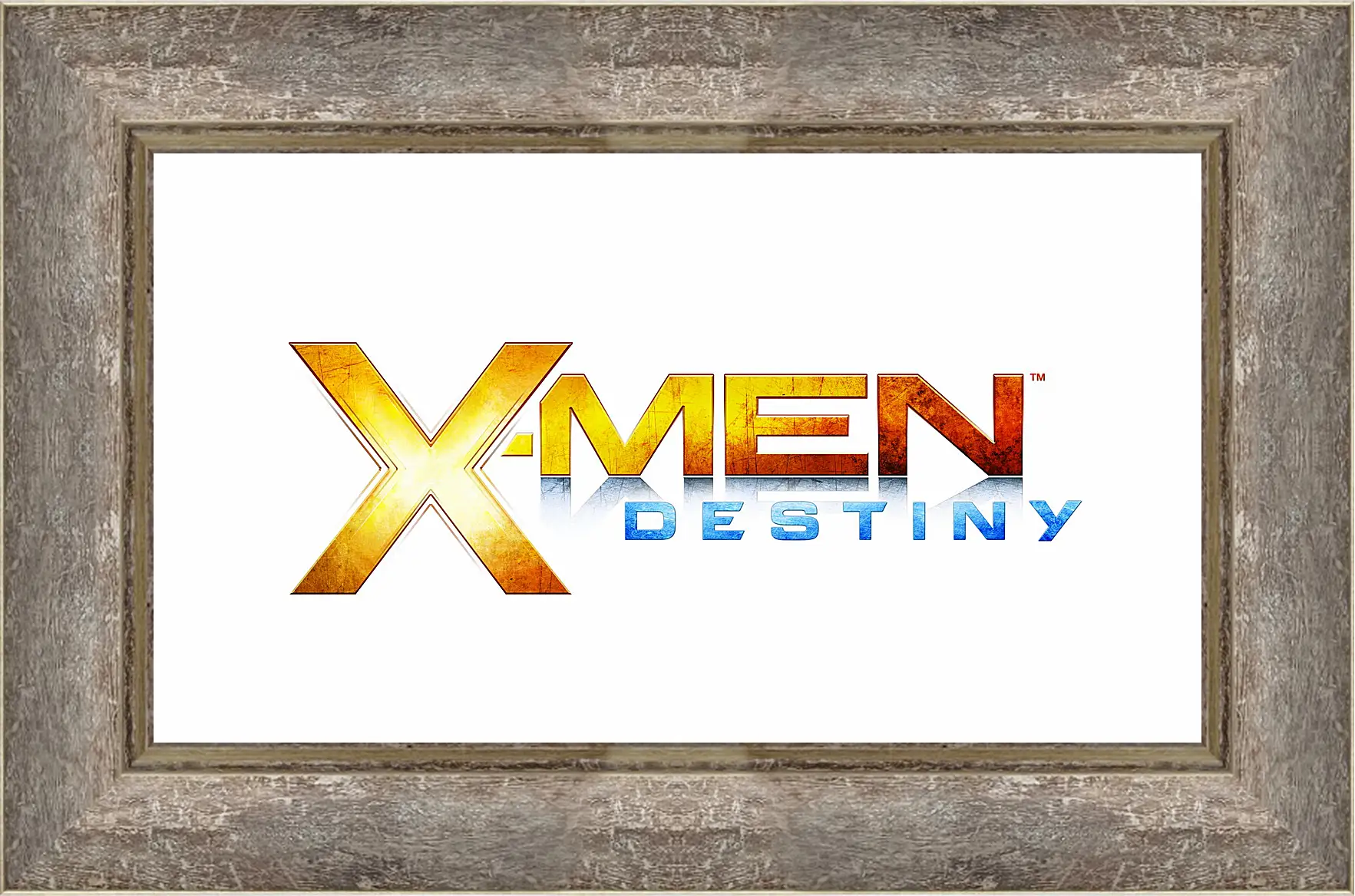 Картина в раме - x-men destiny, marvel studios, silicon knights
