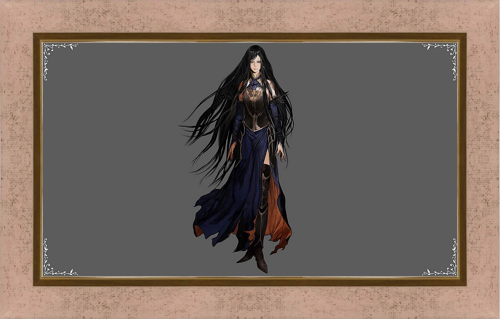 Картина в раме - castlevania, order of ecclesia, shanoa
