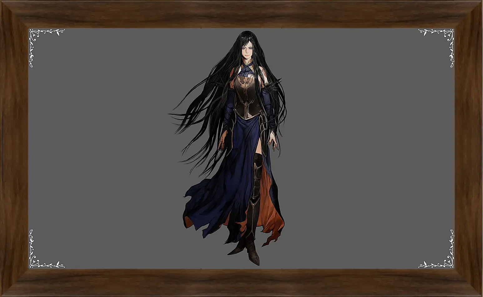 Картина в раме - castlevania, order of ecclesia, shanoa
