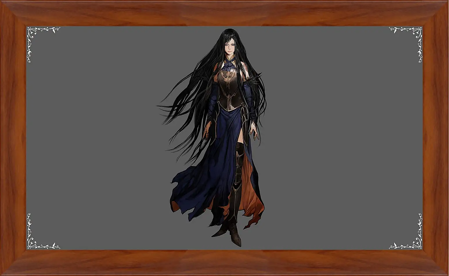 Картина в раме - castlevania, order of ecclesia, shanoa
