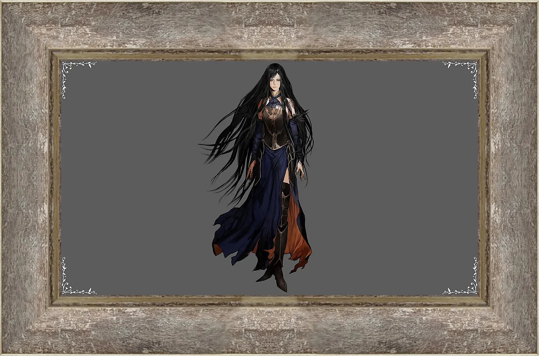 Картина в раме - castlevania, order of ecclesia, shanoa
