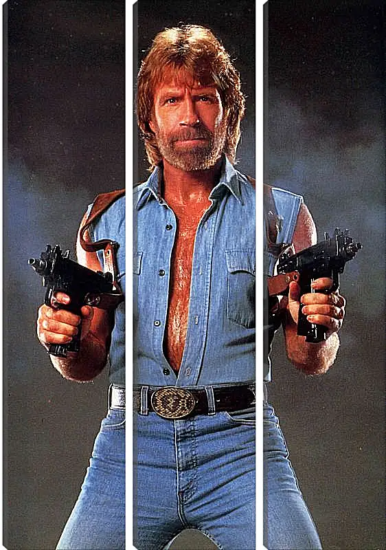 Модульная картина - Чак Норрис. Chuck Norris