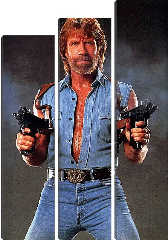 Модульная картина - Чак Норрис. Chuck Norris