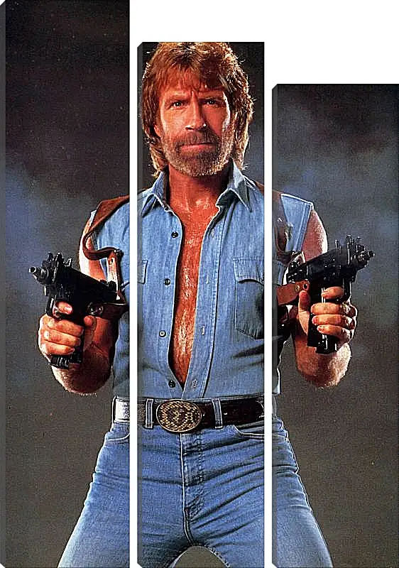 Модульная картина - Чак Норрис. Chuck Norris