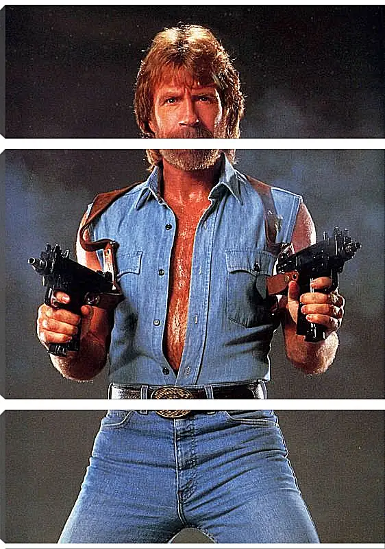 Модульная картина - Чак Норрис. Chuck Norris