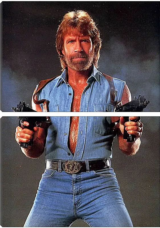 Модульная картина - Чак Норрис. Chuck Norris