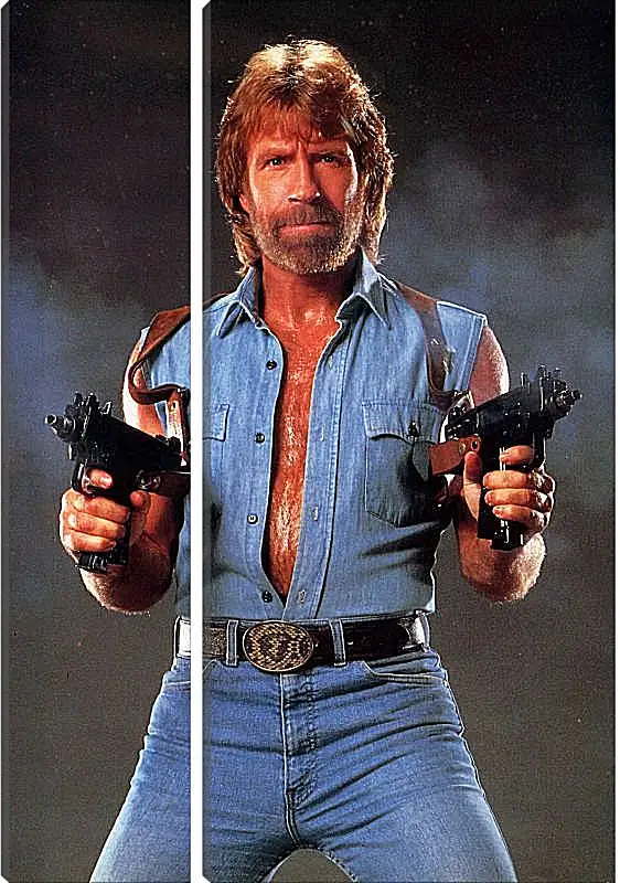 Модульная картина - Чак Норрис. Chuck Norris