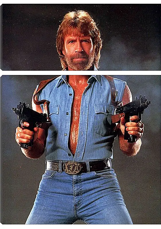 Модульная картина - Чак Норрис. Chuck Norris