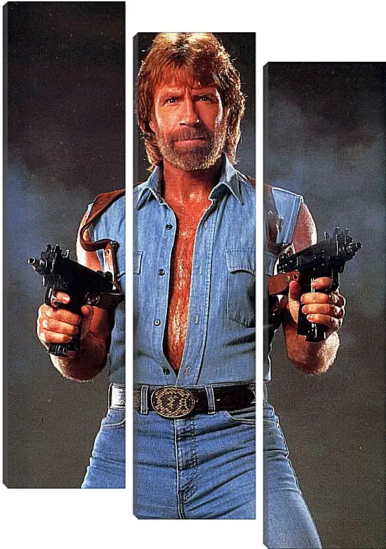 Модульная картина - Чак Норрис. Chuck Norris