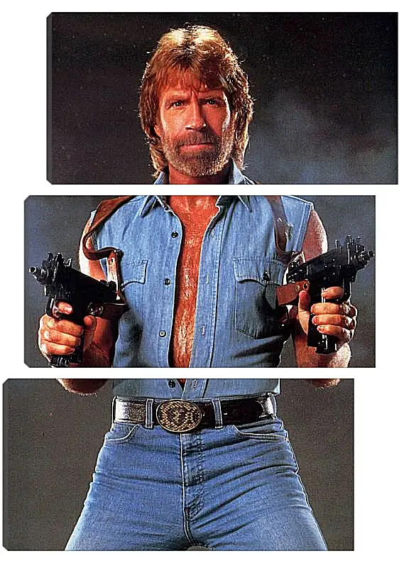 Модульная картина - Чак Норрис. Chuck Norris