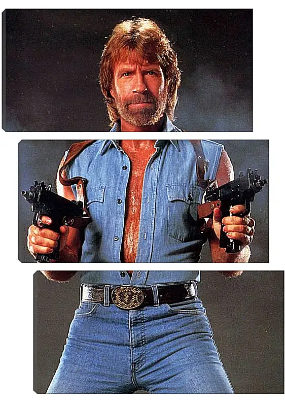 Модульная картина - Чак Норрис. Chuck Norris