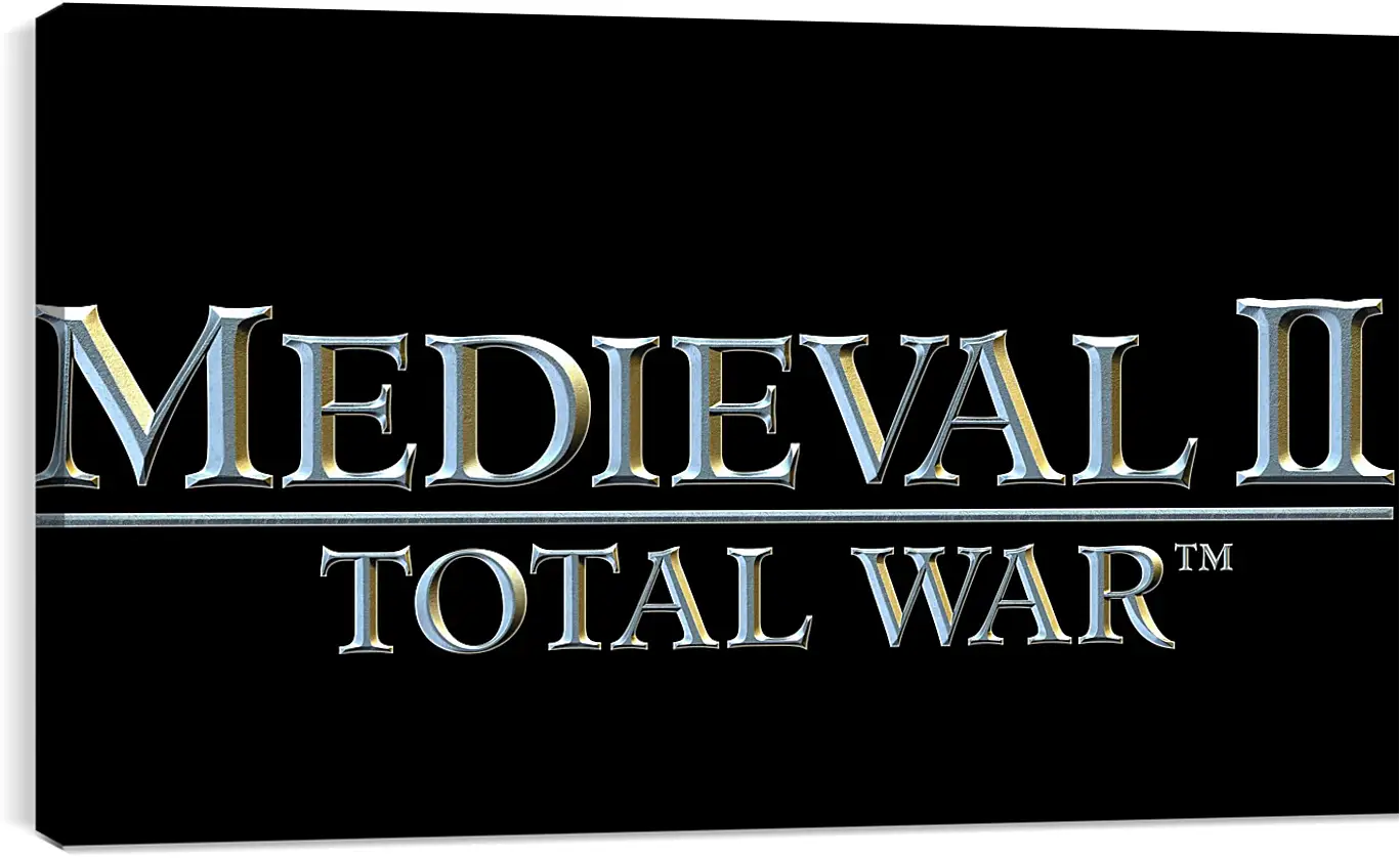 Постер и плакат - medieval 2 total war, medieval, strategy game
