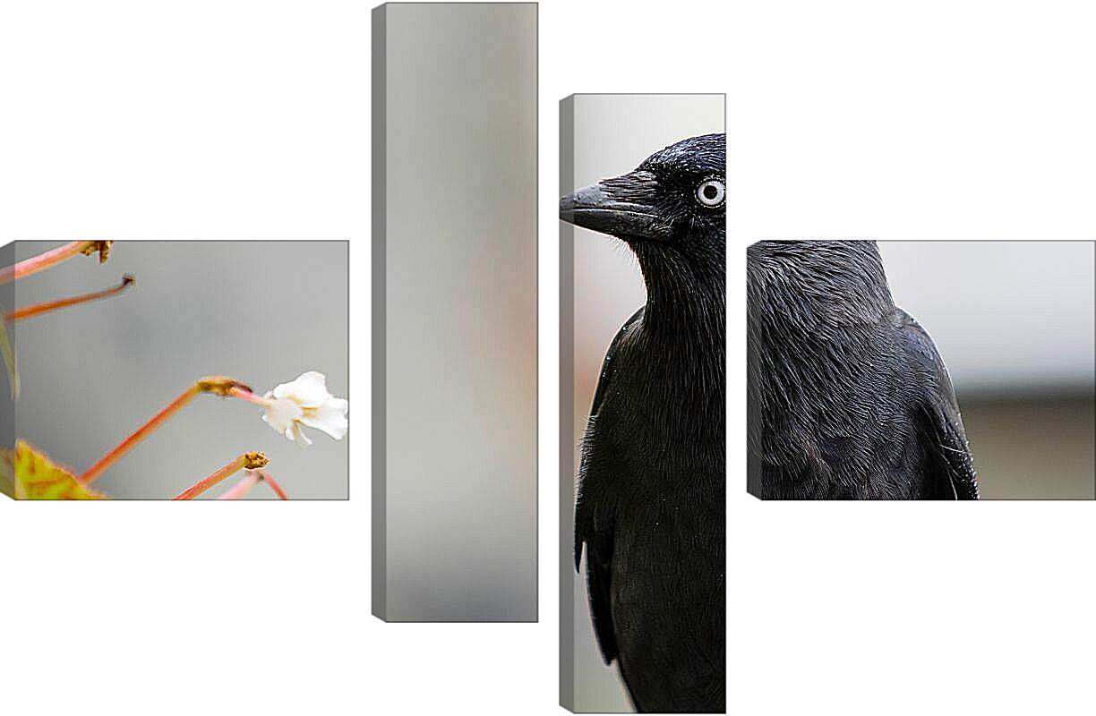 Модульная картина - Ворон чёрный