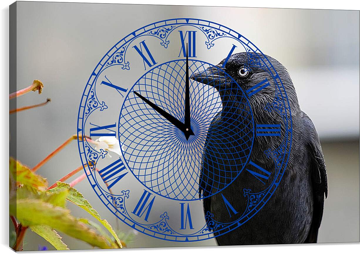 Часы картина - Ворон чёрный